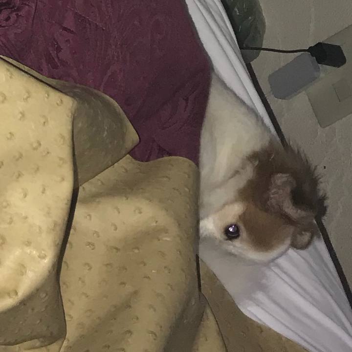 490871ab 64c9 482c b334 6d4fd6e11343 1537179623498