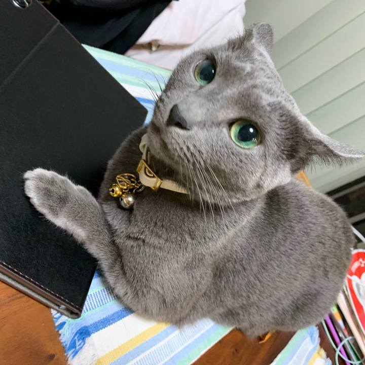 490899c4 f767 47dd 8969 87d544d849ec 1627221622758