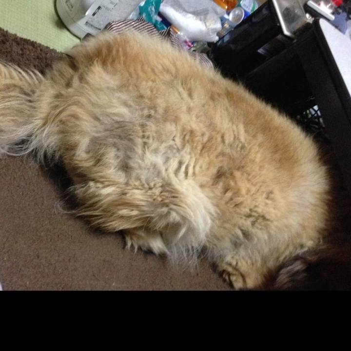 4908ad8e 8ecc 4fa4 8abb 69778526f669 1597783349019