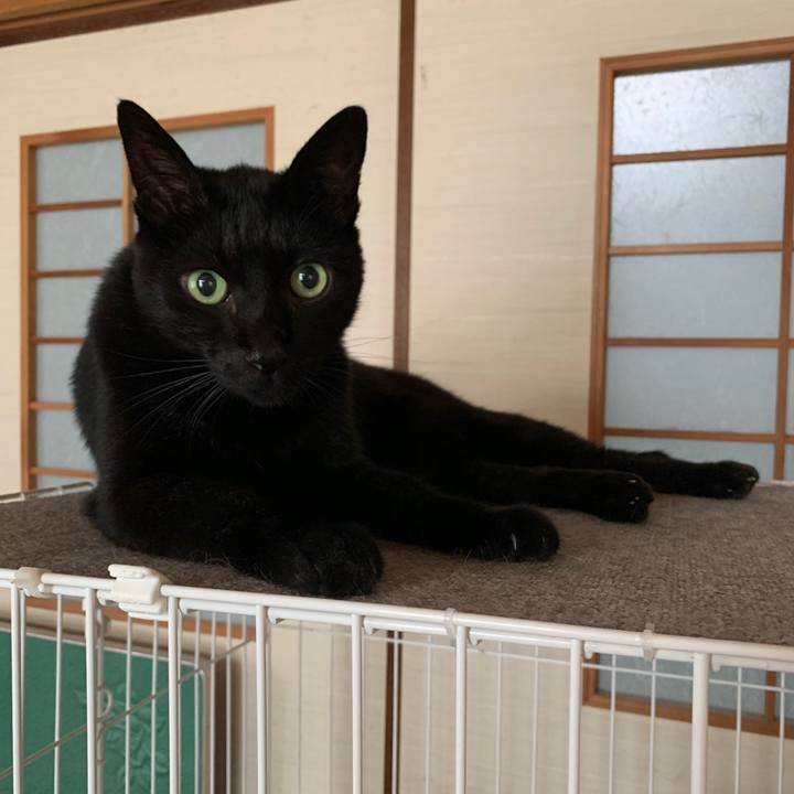 4908bddb 9bc4 4b0e 8927 f261900fa5a6 1569545301255