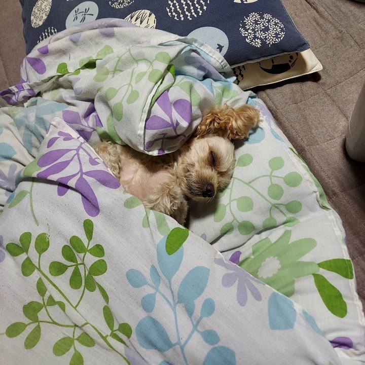 49090cd9 d312 4371 af79 fa45802405ad 1667052980993