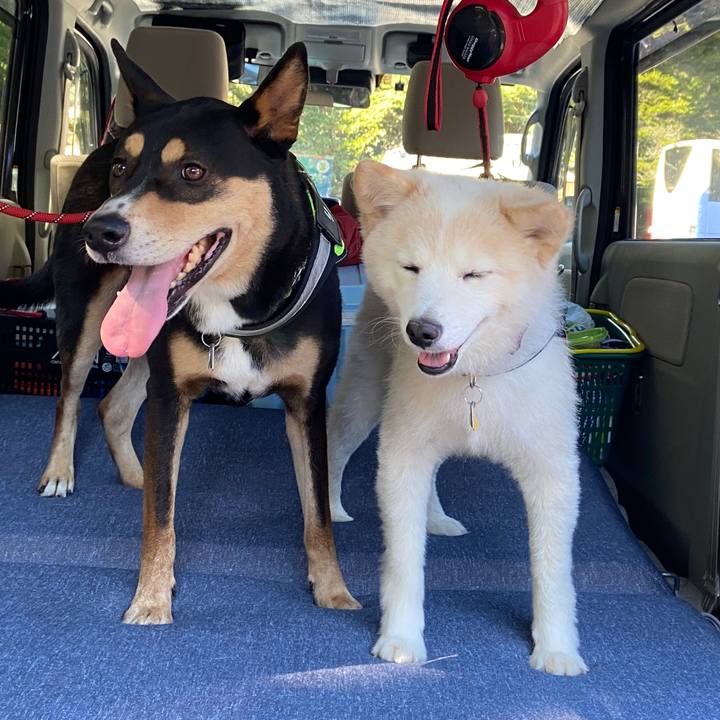 49091e5e 9fb7 4ed2 98dd 36484abb57cc 1666166618204