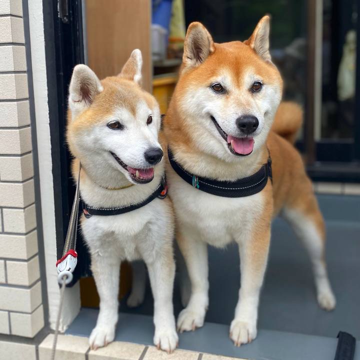 49092786 24c9 4152 a2a2 7a80dfda013d 1722476032942