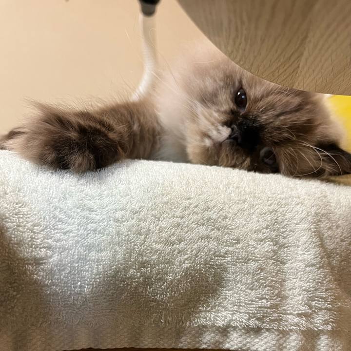 490930f4 5f61 4c8d a2c8 1e5a569bfc78 1698409612363