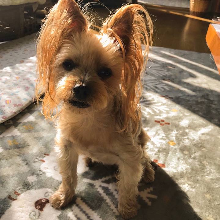 4909d318 adb8 451b 8172 a84c780fa209 1569921185546