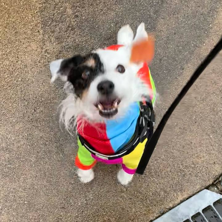 4909d906 2fd9 4b98 84cc a7b4f703b38e 1713426160126