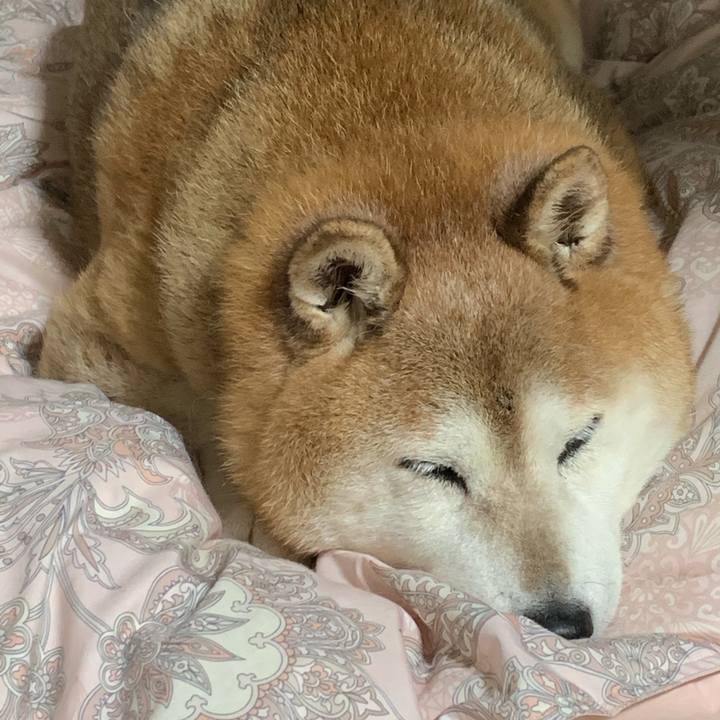 490a288e 22e0 46de 8fb5 f885526b217f 1578928382255