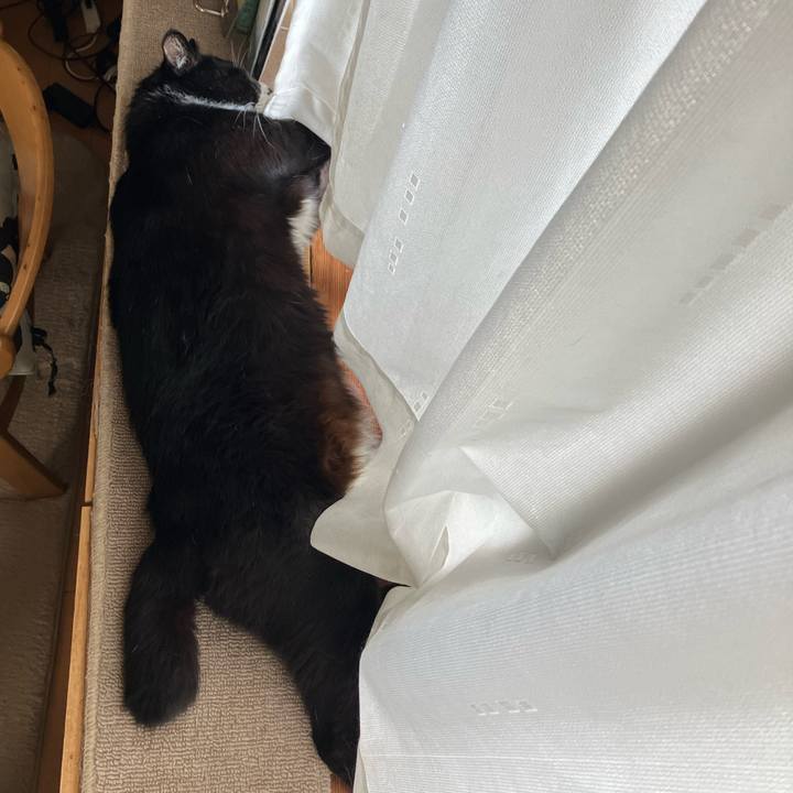 490a3b93 0e00 4105 b249 ff036decf837 1750997130391