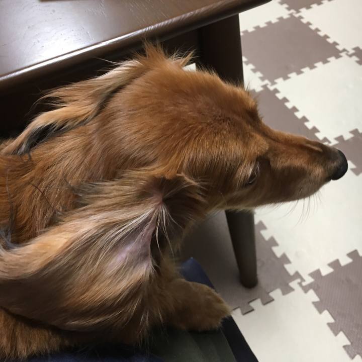 490a7263 4a18 42f5 847f 187b27bd5b89 1572010141215