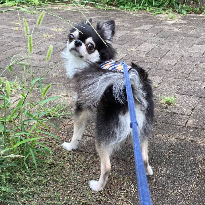 490a8a6c 49c5 4a91 ad7d a2a11bd2f9ae 1694878416173