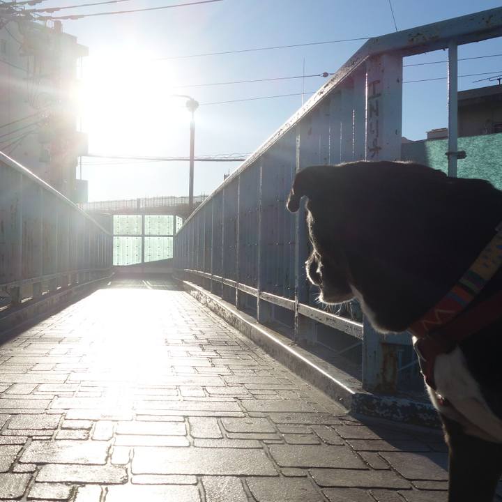 490a9aeb 98e8 4d8e 9ed2 22300e6d5225 1700443128905