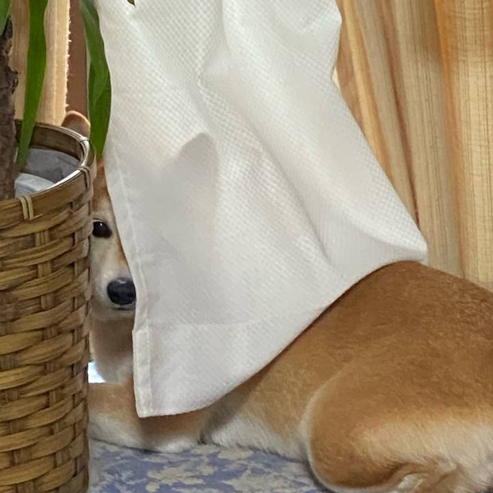 490adc3d 1d5a 444d ad19 7c7a08cf4f9d 1625788740269