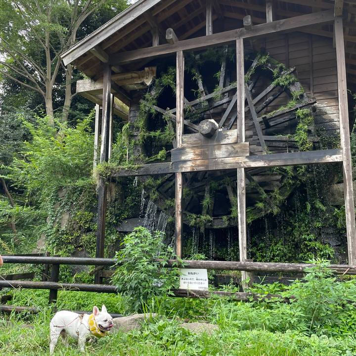 490b48e6 0ec6 4f10 99a6 10d4d9706c9c 1755125375773