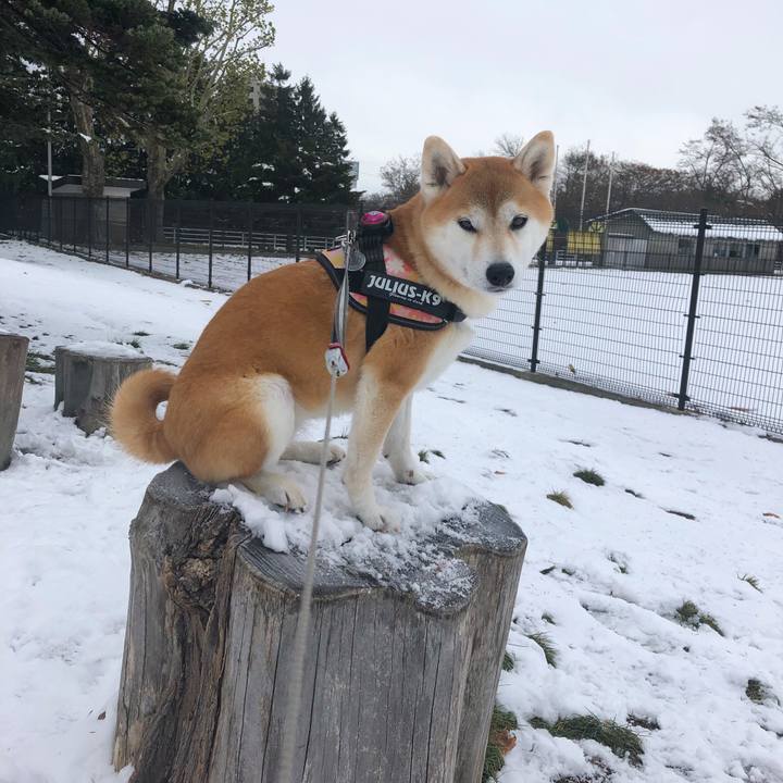 490b71b6 86ef 441e 9f44 011ebc690c99 1574038171157