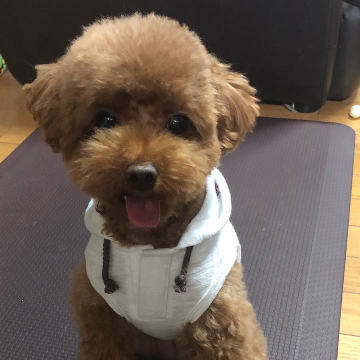 490baaf7 d503 4cb4 921e 008fc8c9637d 1571092192596