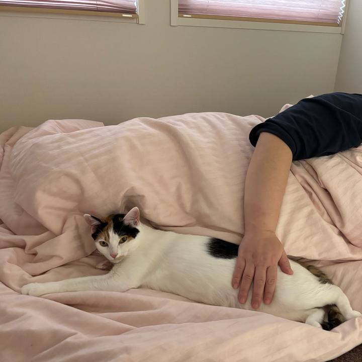 490bb205 7858 4aa8 a437 8616552a3803 1772433196502