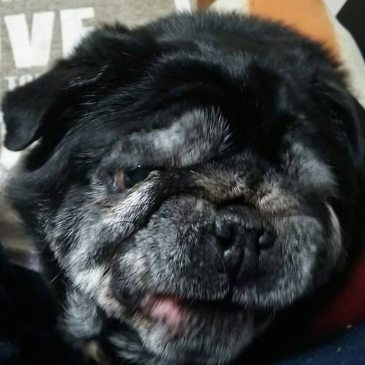 490bbaaa 8de9 41ce b39d a1db10b4715b 1524140497949