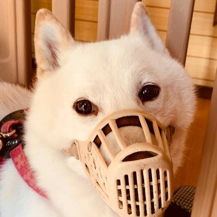 490c0ca8 cd21 4b67 8523 282935335e10 1596746223120