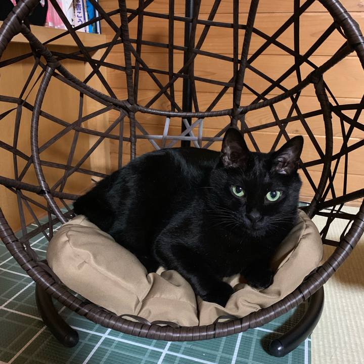 490c1253 212c 49a3 934d 9aa694ce7919 1563110746558