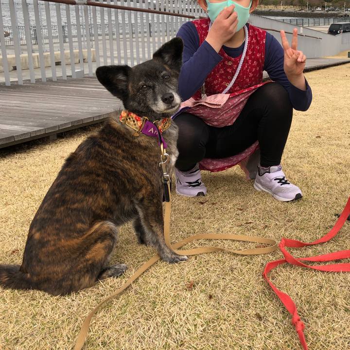 490c191c 73f4 43d9 868a a688ff95b7a9 1614612041131