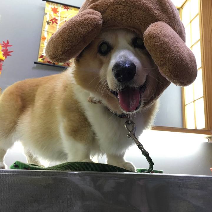 490c3e16 0440 49b6 b28d 13687cfc39c5 1540694419838