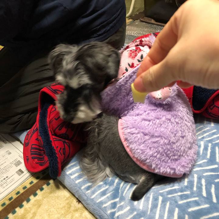 490c46c0 665c 46ed a2c6 08d719a77c05 1672661889031