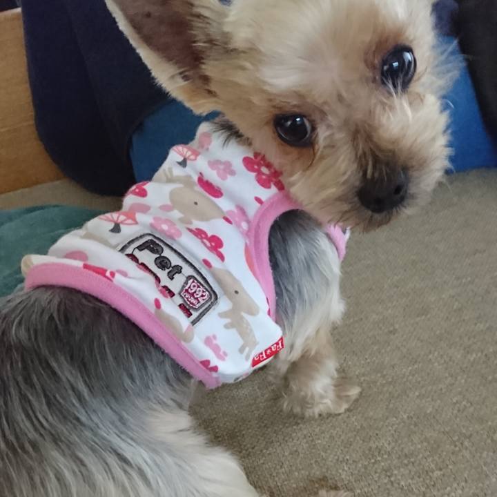 490c746d 00c6 4f9e a8ca fe5d9037257d 1548426953040