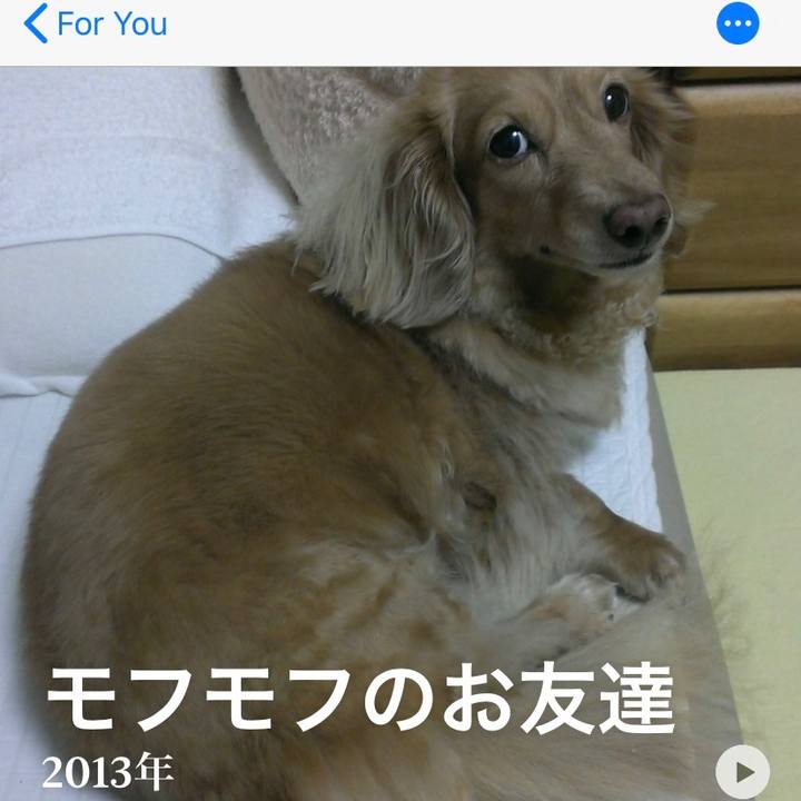 490c886b d2d1 44cb 97e9 c7a382bcc06c 1575088876078