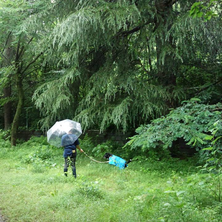 490cade4 2346 4563 9b7c 17de9c2a5676 1719102297560