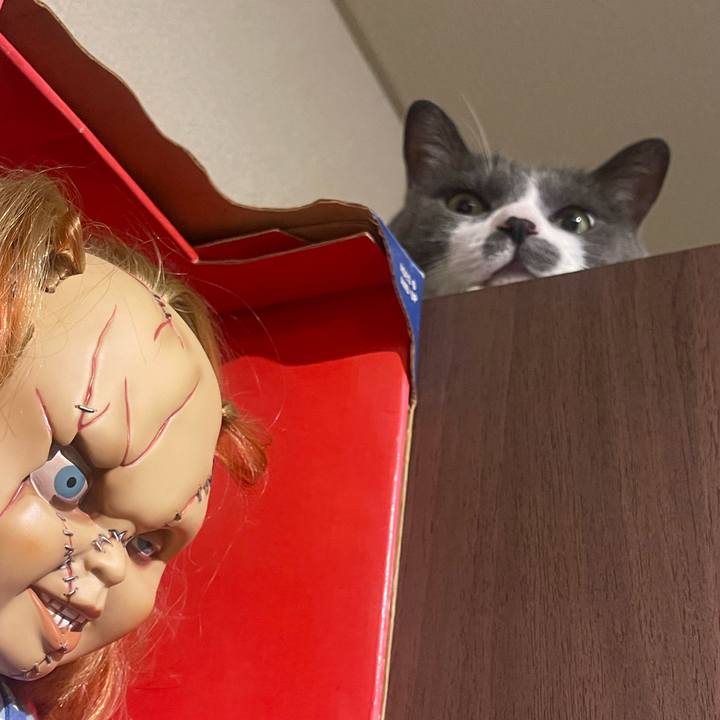 490cb768 afe2 43be 9769 f3a275daf626 1718547504188