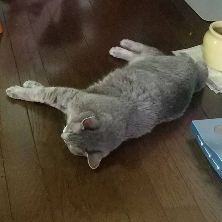 490cd419 1fe3 45f6 8a55 197aa1b34ed5 1663278875527