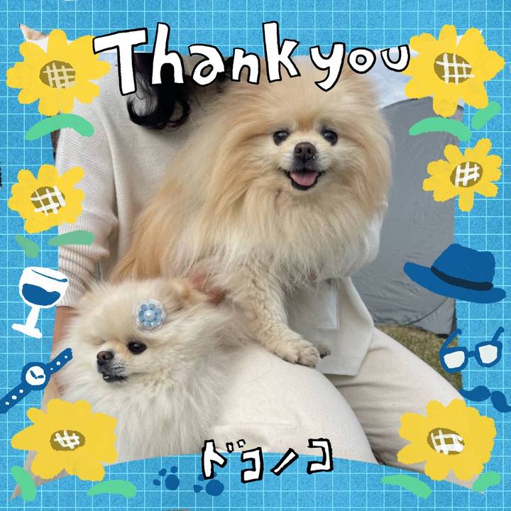 490ce63a 514a 4b21 987b 882e264b9cab 1718270599478