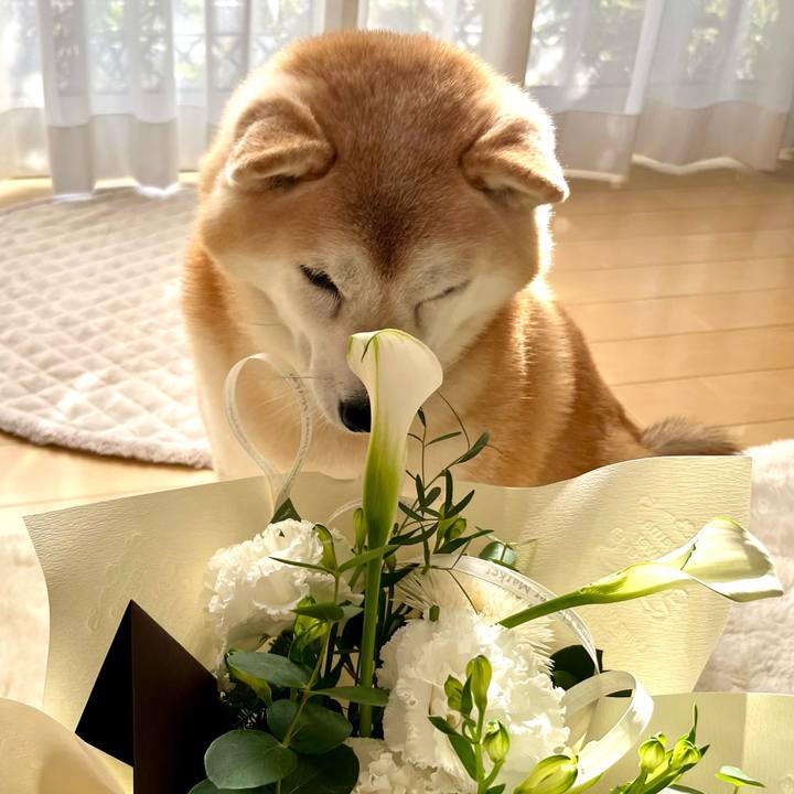 490cee5b 6d0f 418a 82ef 7e7d9e615afa 1734611115237