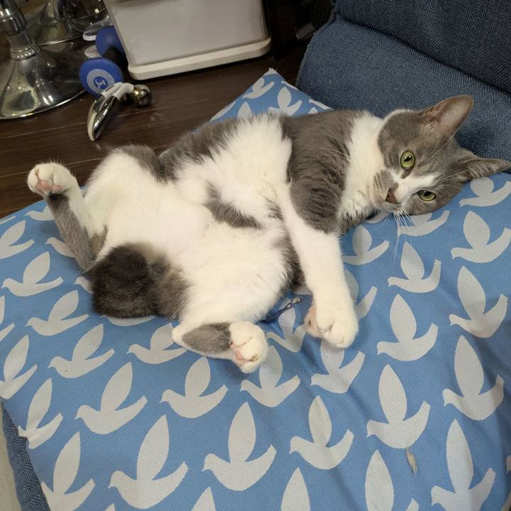 490d551c e08b 402c ba31 c9d50bfff61b 1758379027975