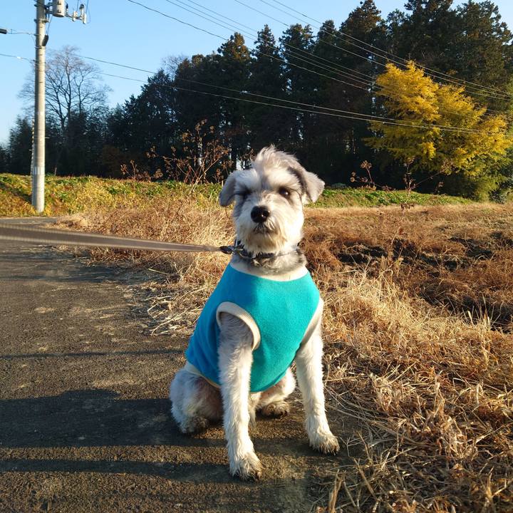 490d8e43 a43c 4f1c 97d9 15cdcbbb62ef 1764199153935