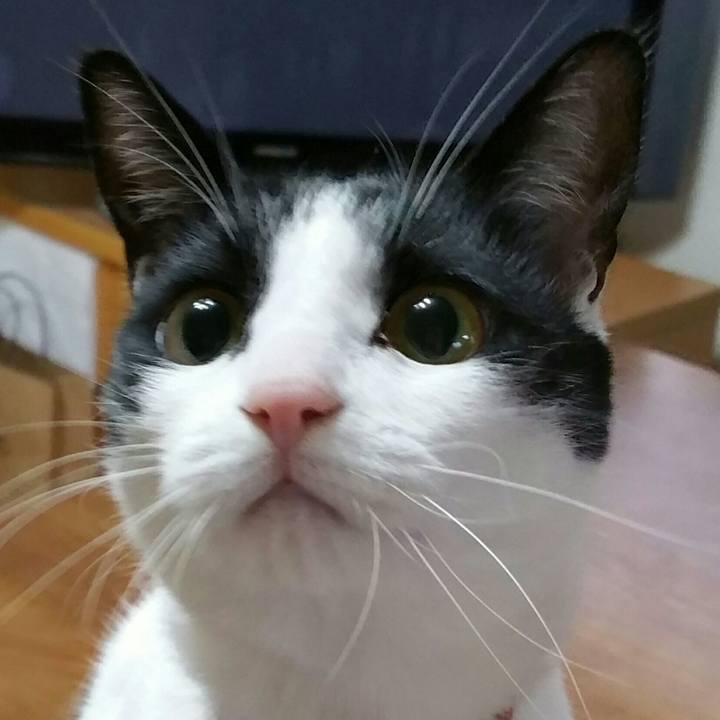 490dbfd9 bf01 43d6 8d4e e97024daceb8 1514882705131