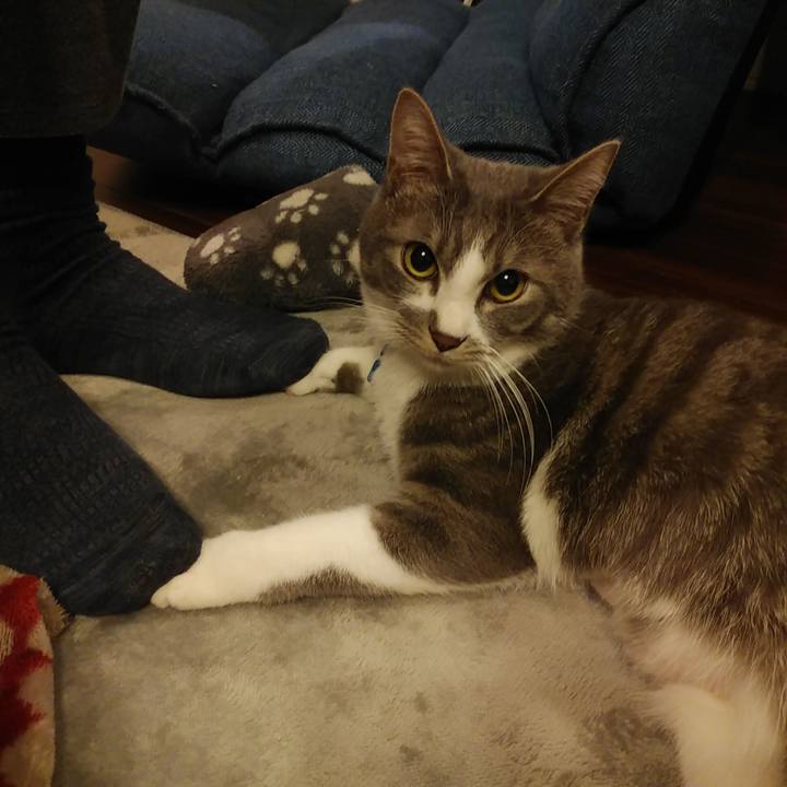 490df813 c988 4ebf af53 aa963ef12b36 1586783011733