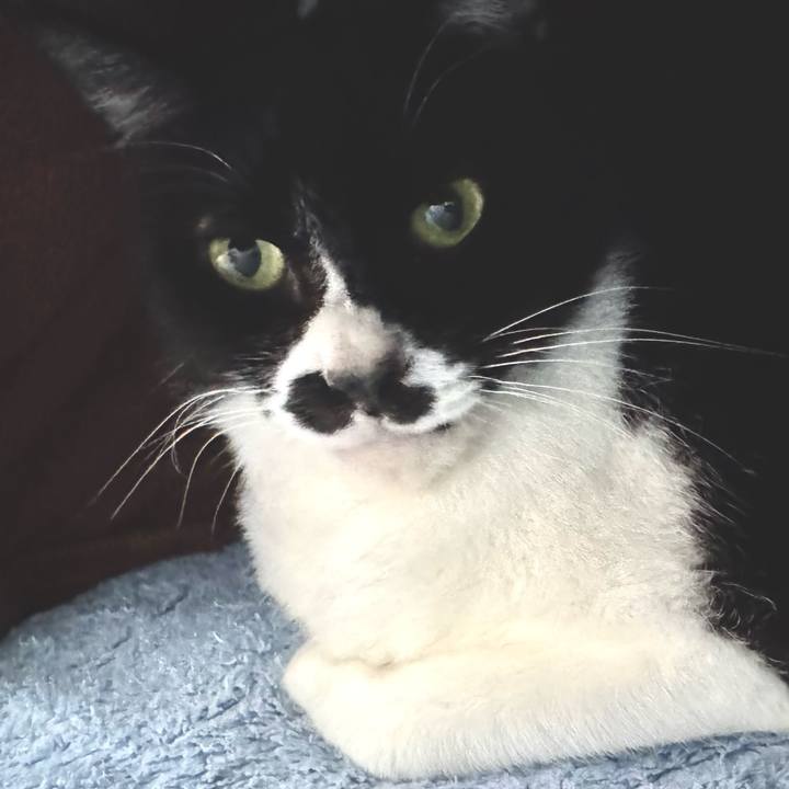 490e198e 906e 4734 a3ed 2bce1bc53aa2 1740041718667