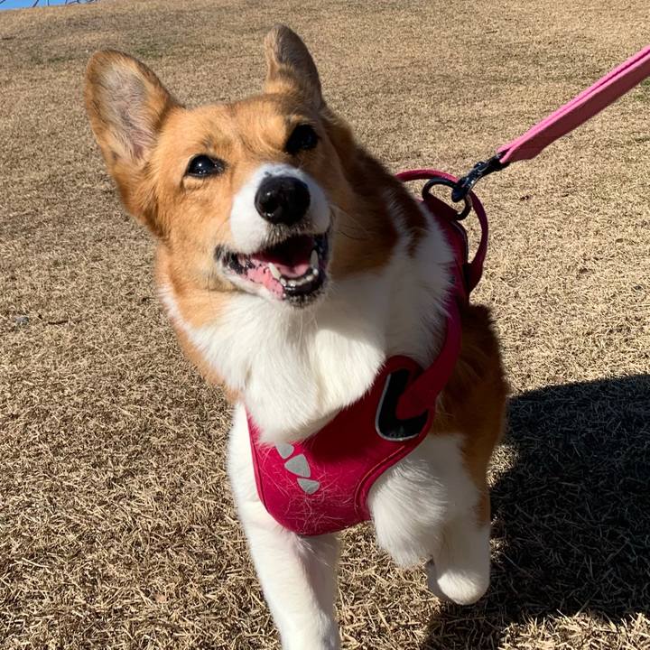 490e21a8 e19a 4ae9 a188 4a80bc6a2120 1703478431558