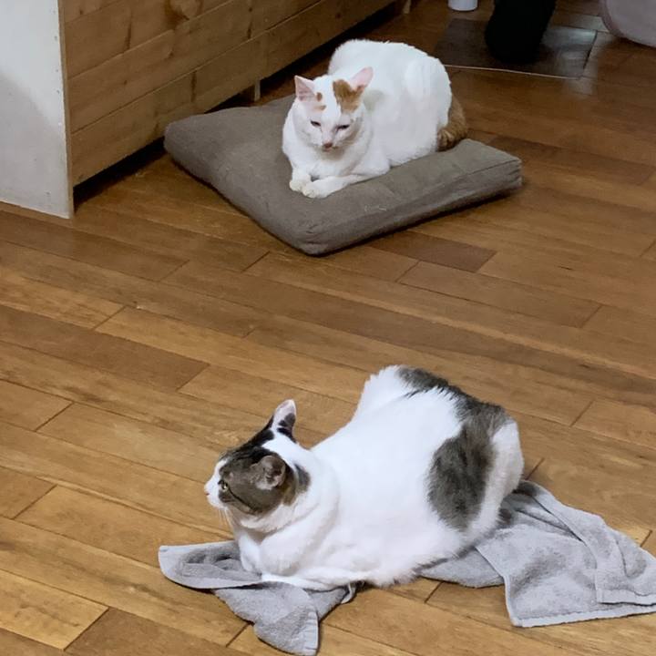 490e2373 190e 4d97 a062 8a9c101bc7df 1662845510614