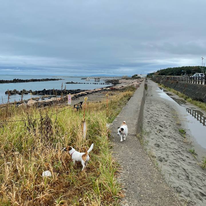 490e2b2e abb7 42c9 971d 665d456b6eb3 1628900605565