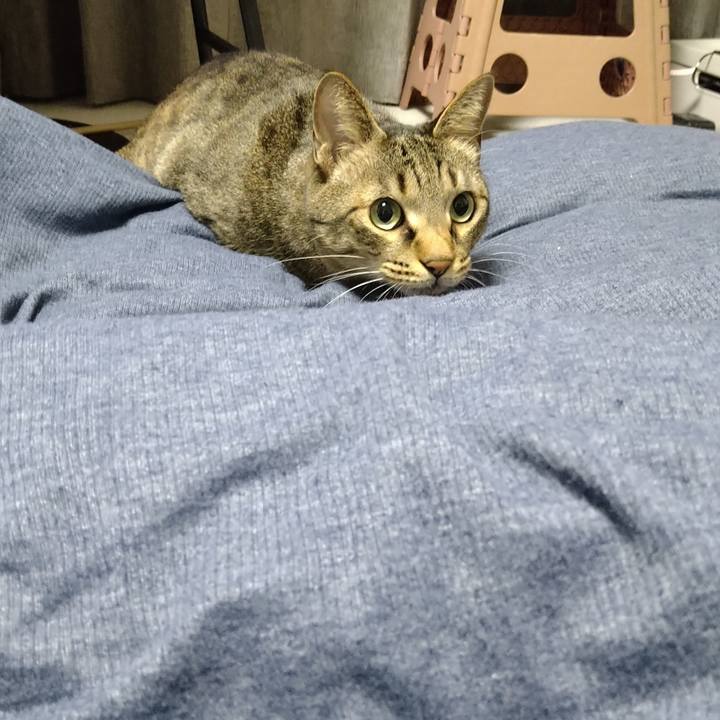 490e2be1 c873 43d1 bcd4 08448b32efa1 1639928233859