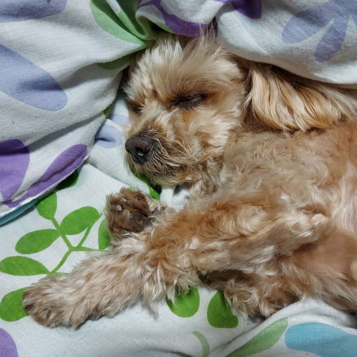 490e2e3c a347 4f2d 8879 f4ac72d93e1b 1643982762337