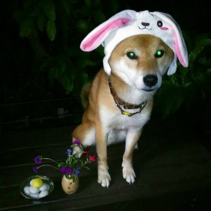 490e37dc a59d 47d3 93d1 6eb2de18ad2d 1568367742042