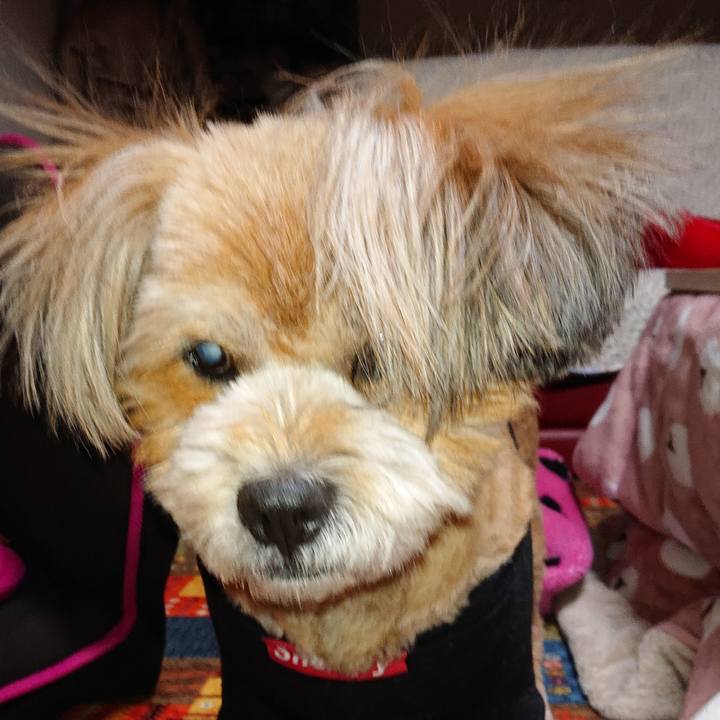 490e639e 05de 4bf5 b5aa 9928b19bc4a5 1613559546122