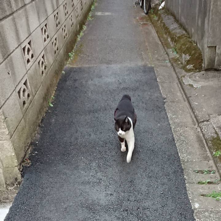 490e641b 10bd 4980 aa35 77ab43f6f477 1612605846728