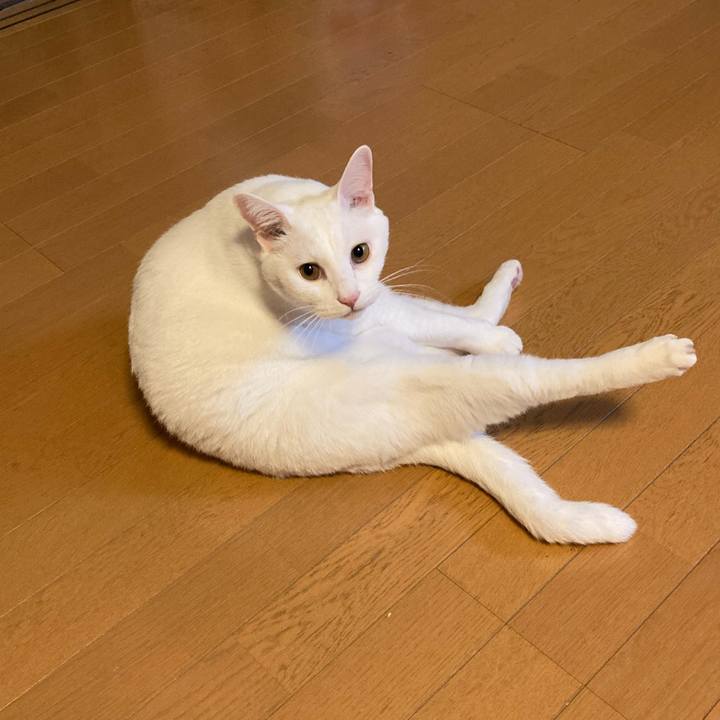 490e9435 09f3 42c5 ad8d a9fa8a04f7a3 1665656533692