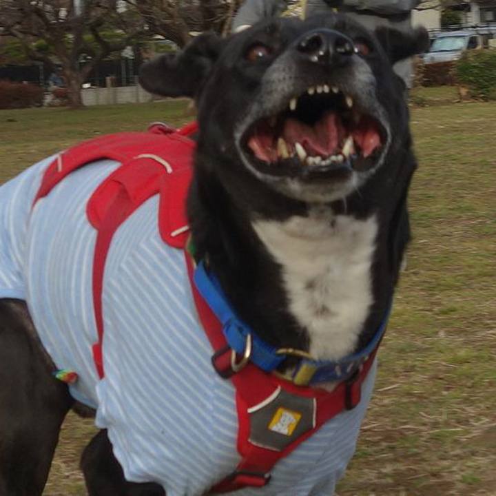 490eb05c 0f14 4f2a 9104 9acd5c22472f 1675128835306