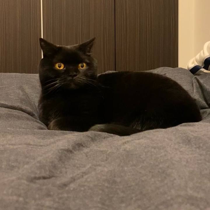 490ebbbe 6bae 4af5 a70d fe48277bd455 1767617523954