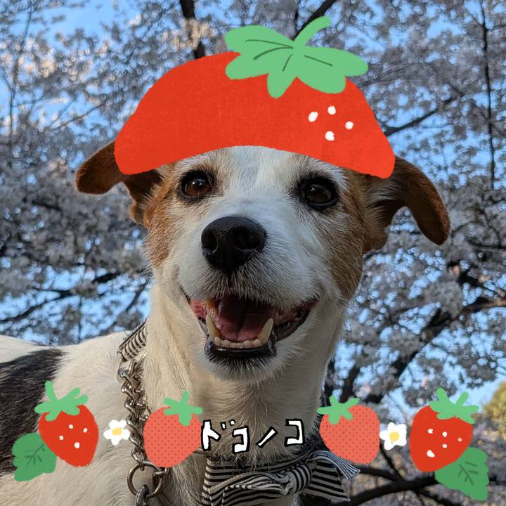 490ec117 7af5 4490 846a 882c45fca8ff 1775271854708